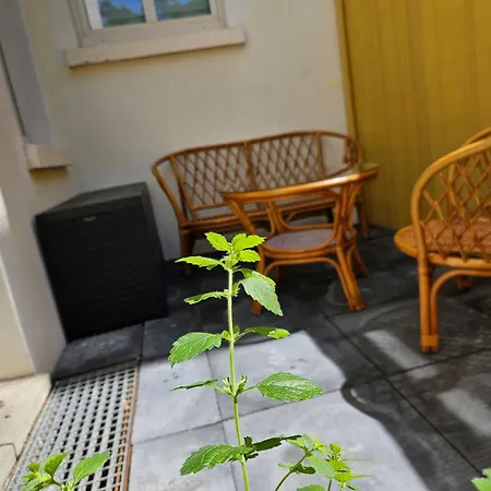 Be My Guest In Stadtfeld * Magdebourg