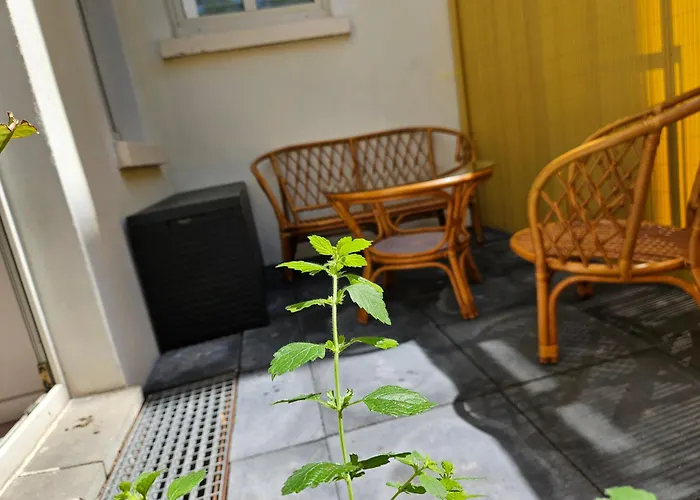 Be My Guest In Stadtfeld * Magdeburgo